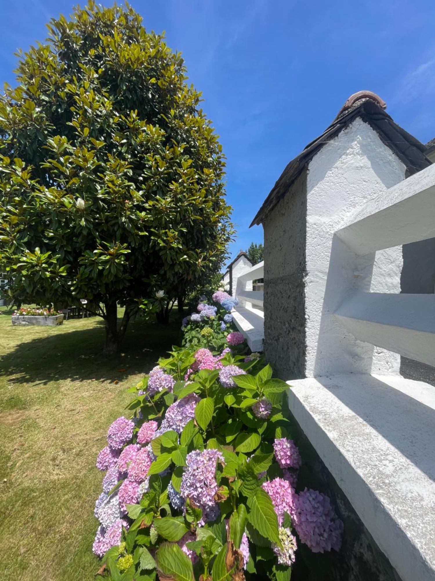 Les Hortensias Espoey Exterior foto